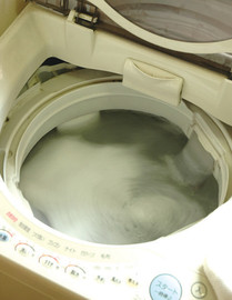 洗濯機~1.JPG